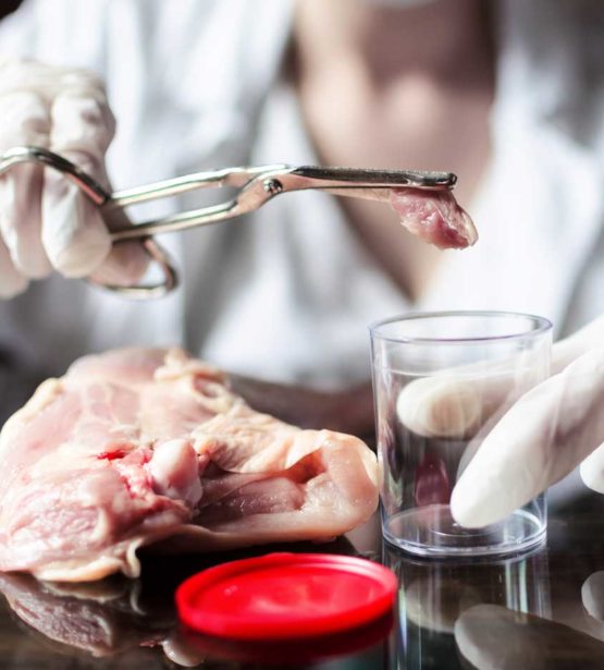 Food Testing Sample